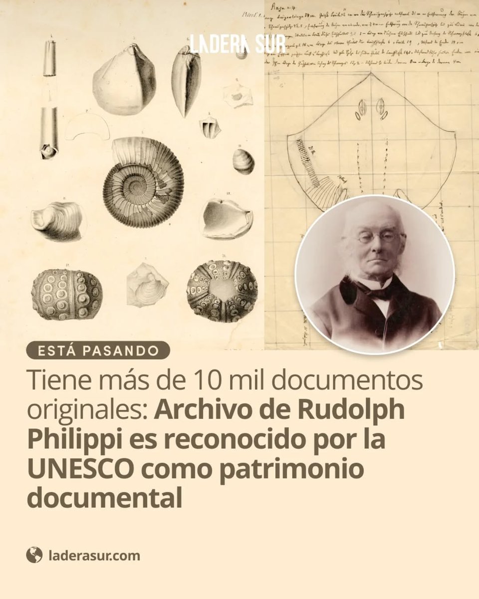 ladera_sur's tweet image. #EstáPasando Tiene más de 10 mil documentos originales: Archivo de Rudolph Philippi es reconocido por la UNESCO como patrimonio documental📜 🐾

🔗Conoce estos documentos y archivos únicos aquí:👇

ow.ly/mxMk50Uq7UV