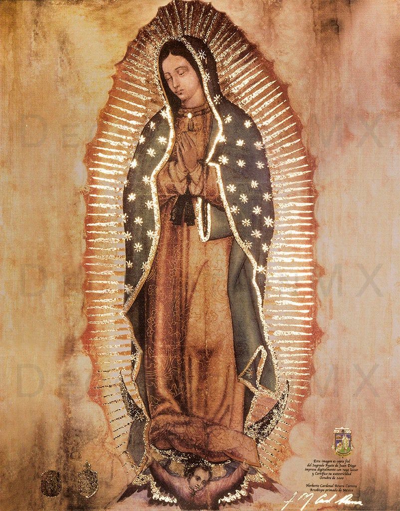 FIJuventutem's tweet photo. Happy feast day of Our Lady of Guadaloupe! Patroness of the Americas and Protectress of the Unborn🙏 Ora pro nobis. https://t.co/NDM711evB3