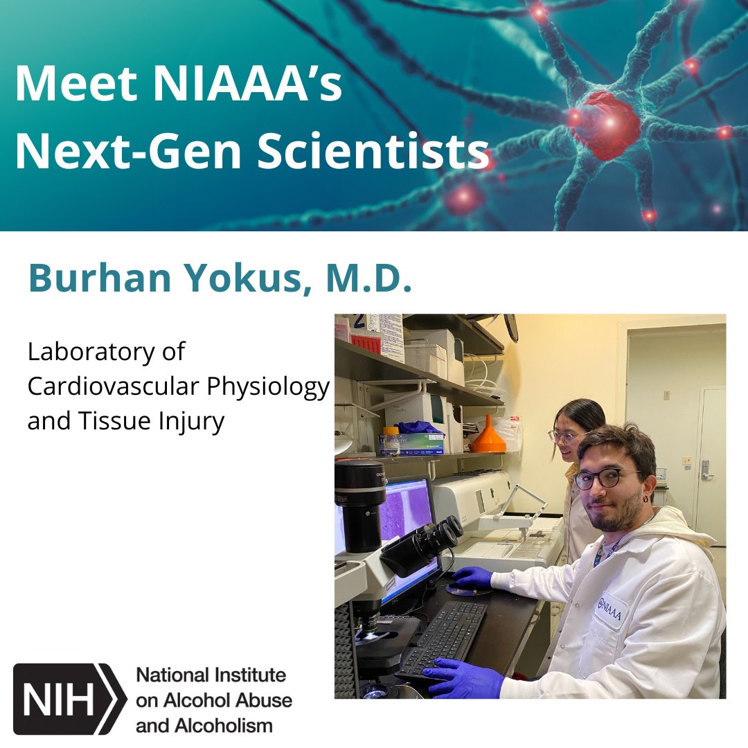 NIAAA News (@niaaanews) on Twitter photo Meet Burhan Yokus, M.D., <a href="/byyokus/">Burhan YOKUS MD</a>, postdoc in NIAAA’s Laboratory of Cardiovascular Physiology and Tissue Injury, is studying the role of the endocannabinoid system in kidney and cardiovascular injury. Read more about the lab: go.nih.gov/jAbiq3p Meet Burhan Yokus, M.D., <a href="/byyokus/">Burhan YOKUS MD</a>, postdoc in NIAAA’s Laboratory of Cardiovascular Physiology and Tissue Injury, is studying the role of the endocannabinoid system in kidney and cardiovascular injury. Read more about the lab: go.nih.gov/jAbiq3p