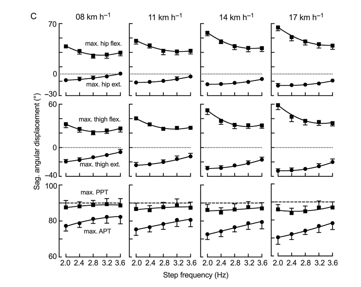 🚨NEW PAPER🚨📄🔬
Pelvis and thigh mechanics 🏃‍♂️are modulated by running step frequency 🧐
Nice and detailed analysis by @RaphMesquita and <a href="/dewolf_arthur/">Arthur H Dewolf</a> 
Interesting applications for injury prevention, for example lower SF = greater pelvic tilt 🔄

journals.humankinetics.com/view/journals/…