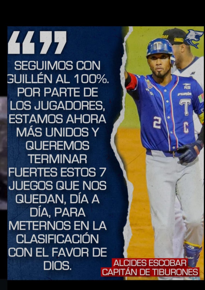 El Tiburon Master - Campeón LVBP - Serie delCaribe tweet media