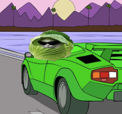 CabbageCat tweet media