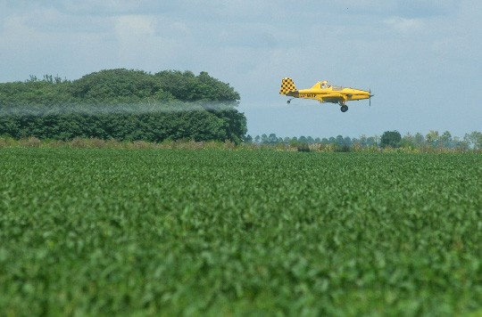 tv12misiones's tweet photo. ⚠️ Estudios advierten que el #glifosato #contamina el 80% del maíz en #EstadosUnidos.

#Noticias #Internacionales #Agrotoxicos #Agro

https://t.co/RD4CMCHuty https://t.co/33UEkfIGY8