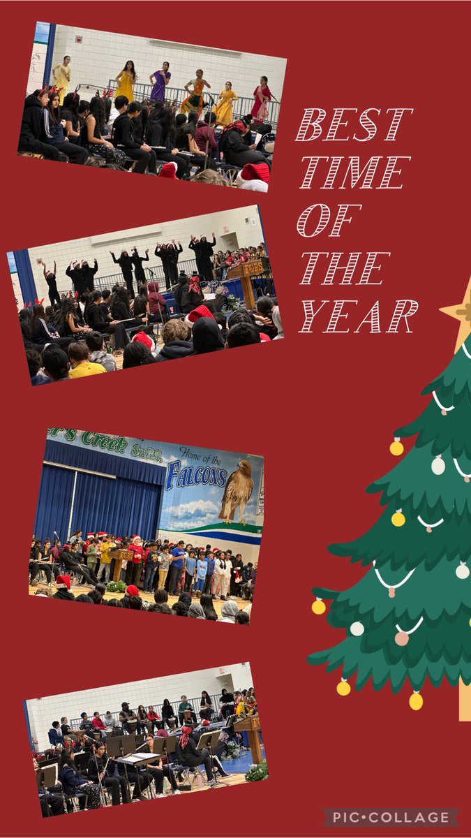 Fathana Bhatty tweet media