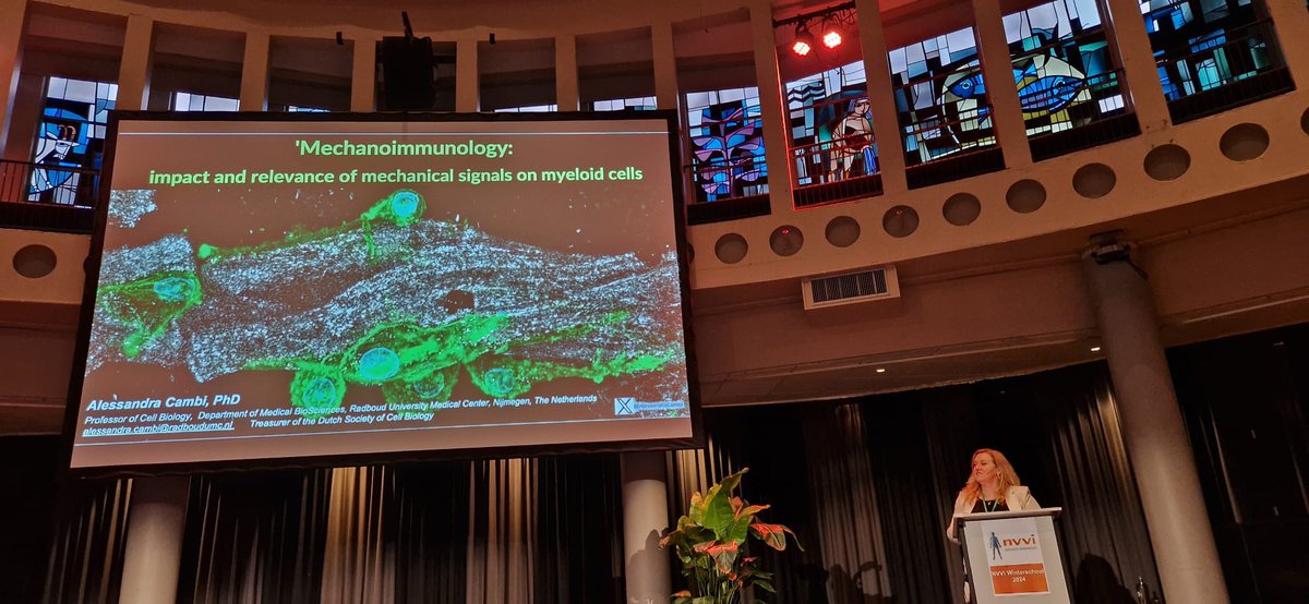 Very honoured and grateful for the invitation to deliver a keynote presentation at the annual meeting of the Dutch Society for Immunology #nvvi2024 talking about #mechanobiology of #myeloid cells! Great interactions with talented young (and senior) immunologists. #podosome