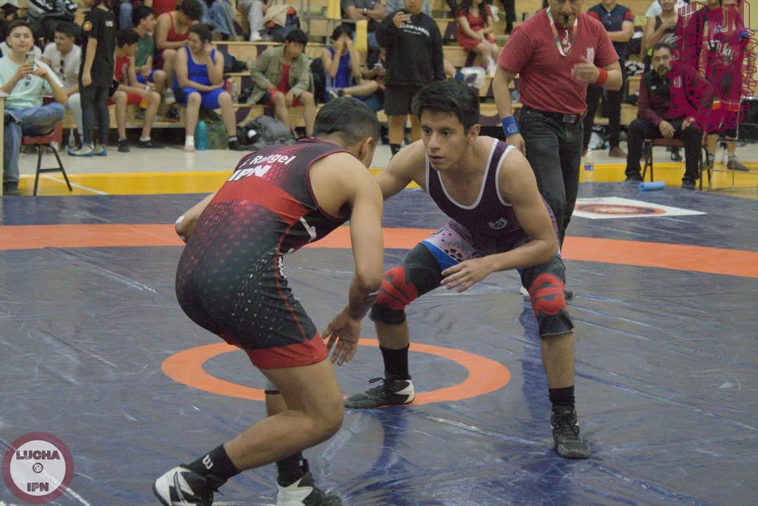 IPNENCB's tweet photo. Un Huélum muy fuerte 📣 para Aldo González (ISA), Erinn Michelle Valdez (IBQ) y Alberto Carbajal (ISA), quienes representaron a la @IPNENCB en los Juegos Interpolitécnicos 2024 de lucha 🤼 ganando tres 🥇, una 🥈 y un 🥉 #OrgulloENCB https://t.co/un54VbFulf
