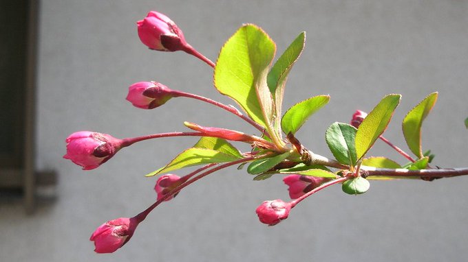 tanosiisupi_bot's tweet image. When understanding reaches the gut level, it manifests in your life.

理解がお腹レベルまでいくと、
それが人生に現れます。
#externalization #外化