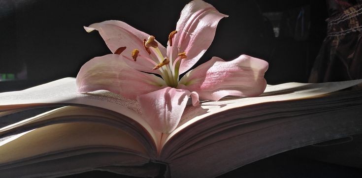 ْ𓍯 (@onlyyouforeveer) on Twitter photo 