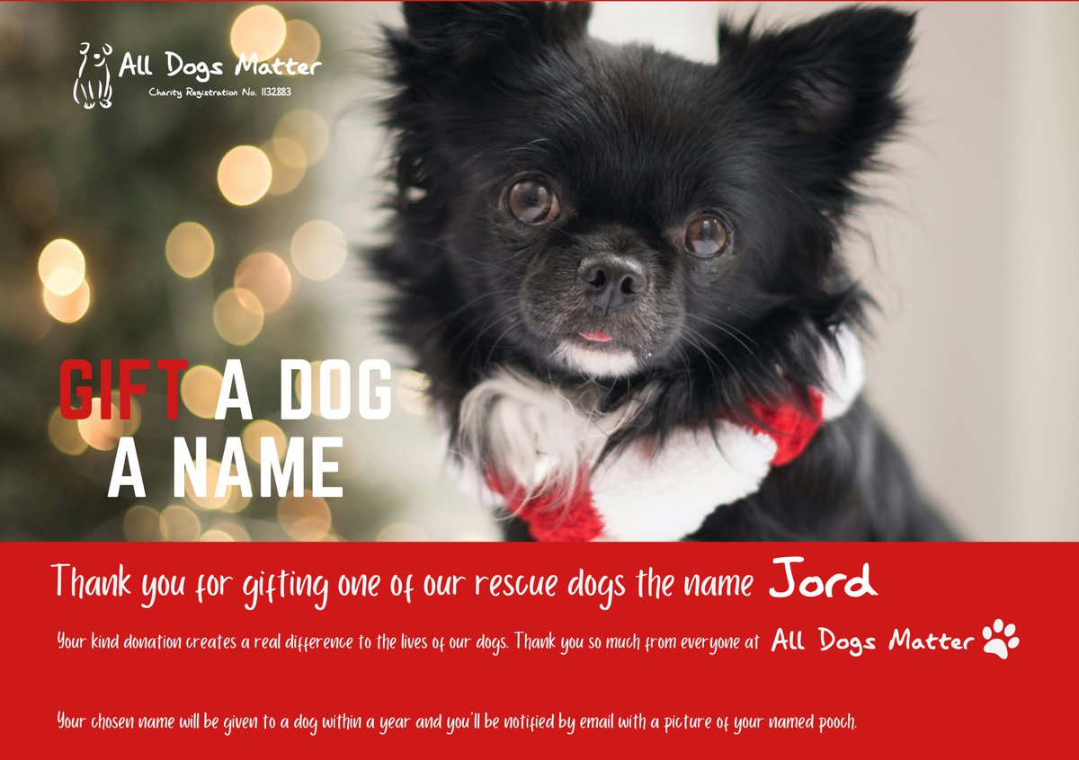 ADAonSOL's tweet photo. Day 257 of 300! We just named our 257th rescue dog โJordโ Inspired by @jords 43 Rescue Dogs to Go! ๐ถ #Charity #300DogMission #ForAda #ADASOL
*PLEASE NOTE THIS IS A CERTIFICATE. TO SEE THE REAL LIFE DOGS. PLEASE VISIT @AllDogsMatter WEBSITE. THESE ARE USUALLY AVAILABLE WHEN HE/SHE GOES UP FOR ADOPTION* ๐ถ๐ โค๏ธ