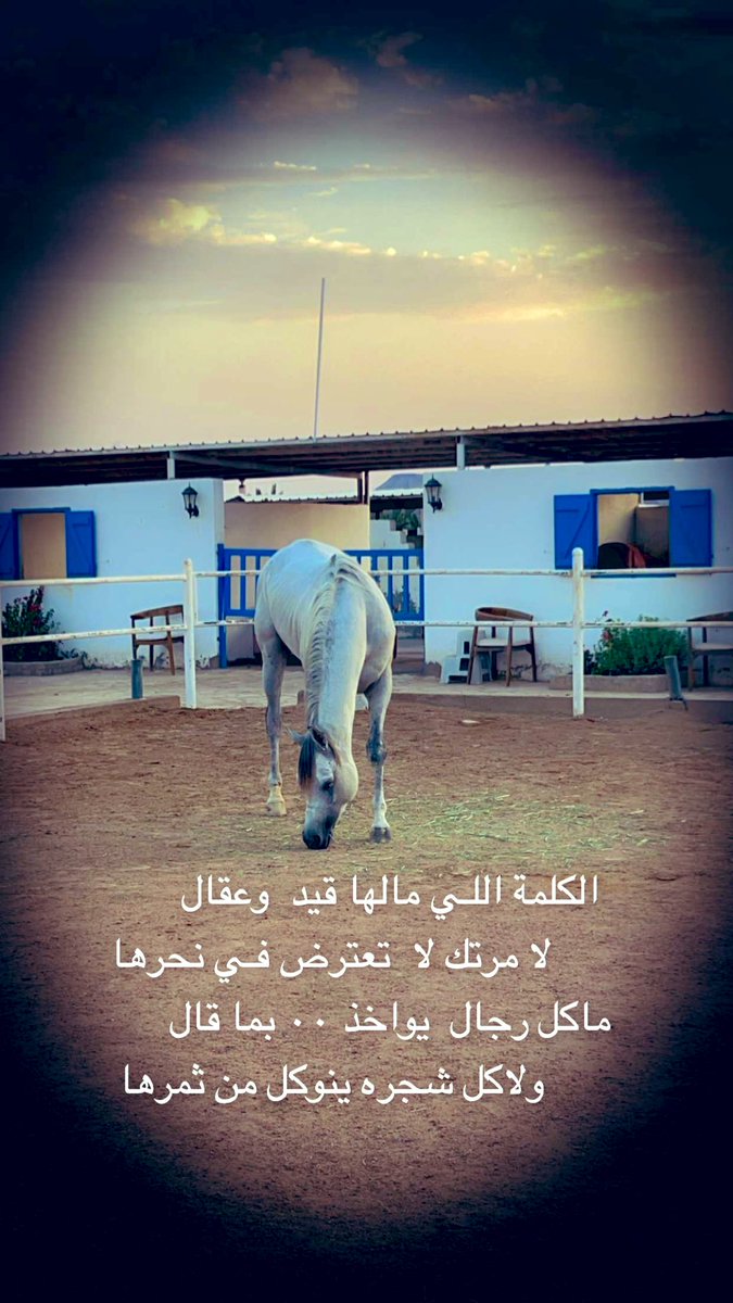 احرص دائمًا على التغافل 

(( وإذا خاطبهم الجاهلون قالوا سلاما ))