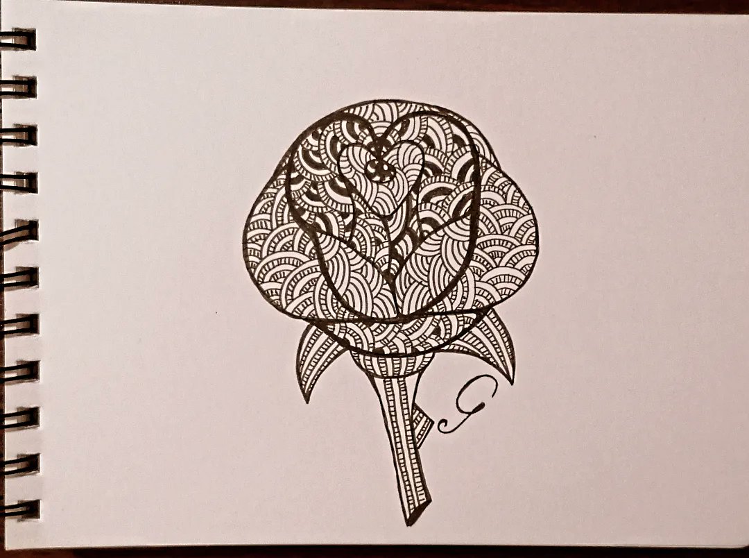 dupynka's tweet photo. Hraju si. Zentangle vzory kreslené do tvaru - drak, list, růže, kopretina a naštvaný pták 😍 Bavte se 🎨
#art #meditation #simple #easy #zentangle #pendrawing #perokresba #zencmary #everyone #dragon #leeve #rose #flower #angrybird https://t.co/oZczqD2PCW