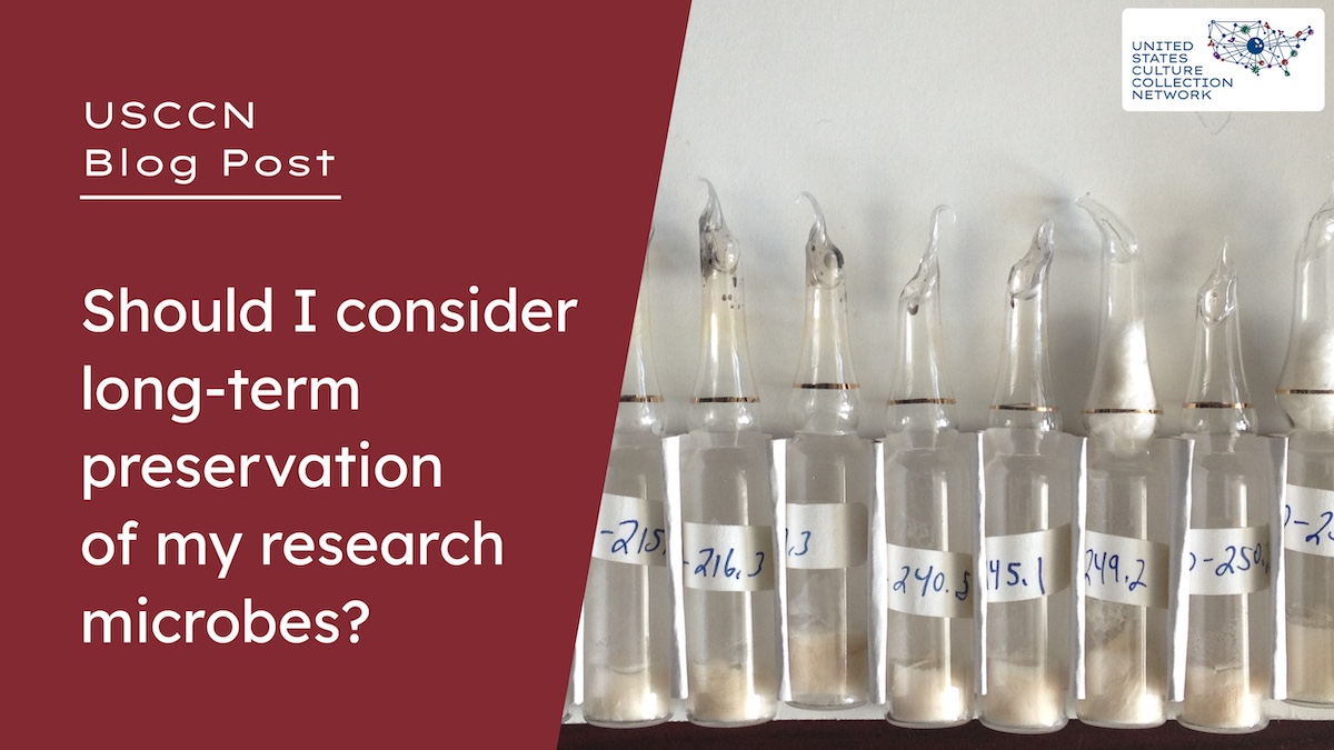 USCCN (@usccn3) on Twitter photo New #USCCN Blog Post: Should I Consider Long-Term Preservation of My Research Microbes? <a href="/KyriaMills/">Kyria Boundy-Mills</a> explains why preserving your microbes in a formal repository matters and how to get started.
👉 usccn.org/should-i-consi… New #USCCN Blog Post: Should I Consider Long-Term Preservation of My Research Microbes? <a href="/KyriaMills/">Kyria Boundy-Mills</a> explains why preserving your microbes in a formal repository matters and how to get started.
👉 usccn.org/should-i-consi…