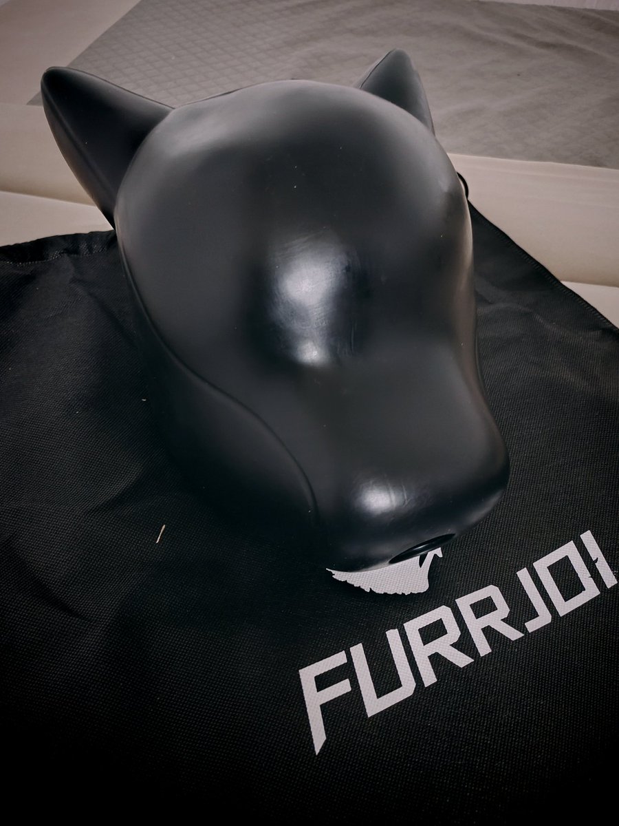 First birthday present arrived!
Mask <a href="/furrjoi01/">FURRJOI</a> 🥳