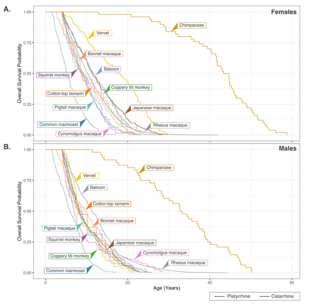 GeroScienceAGE's tweet photo. 📢New in GeroScience by Springer Nature
Comparative lifespan and healthspan of nonhuman primate species common to biomedical research by Hillary F. Huber &amp; Laura A. Cox et al.
https://t.co/leTxfunD7h
#nonhumanprimates #aging #healthspan #lifespan #Longevity #survival https://t.co/6C2gs2xw2O