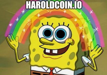 Haroldcoin-io (@haroldcoinio) on Twitter photo 