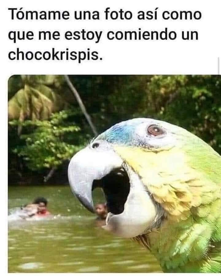 🤣🤣