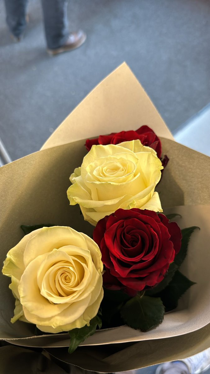 dln_ayd1's tweet photo. ♥️ https://t.co/TrbrGOVn8m