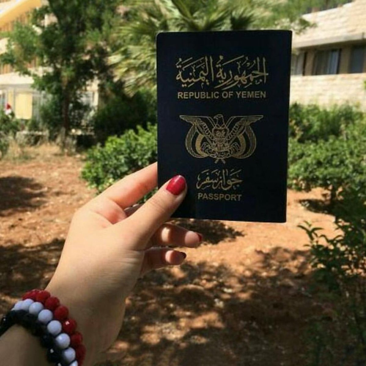 Alsh3lfi's tweet photo. @Hamsat_Zaffafi 
@Flowardf 
@Alshalfi_Media https://t.co/vRxrskXNud