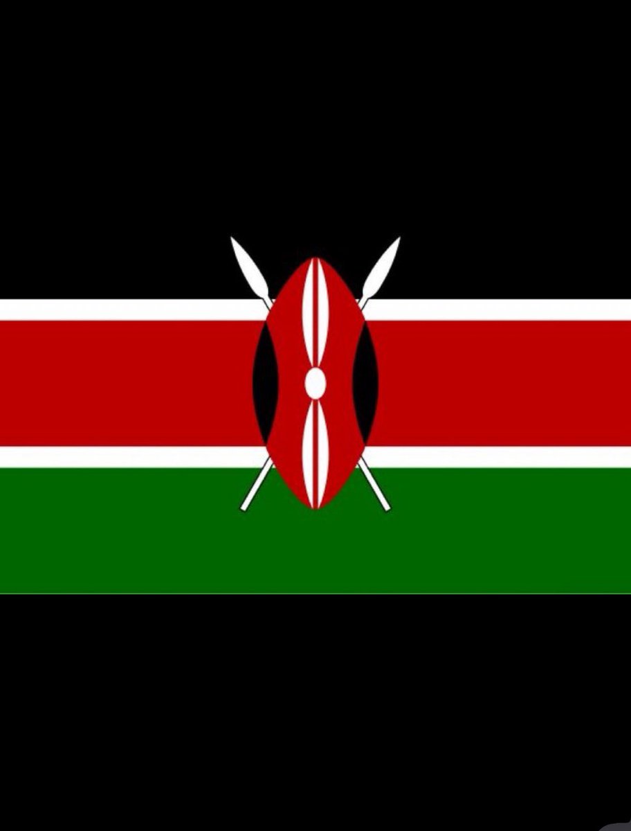 veebinladen's tweet image. the flag.                                           the face.