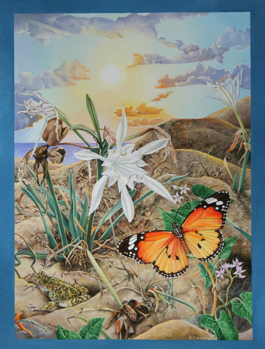 DOMANGE Bernard tweet media