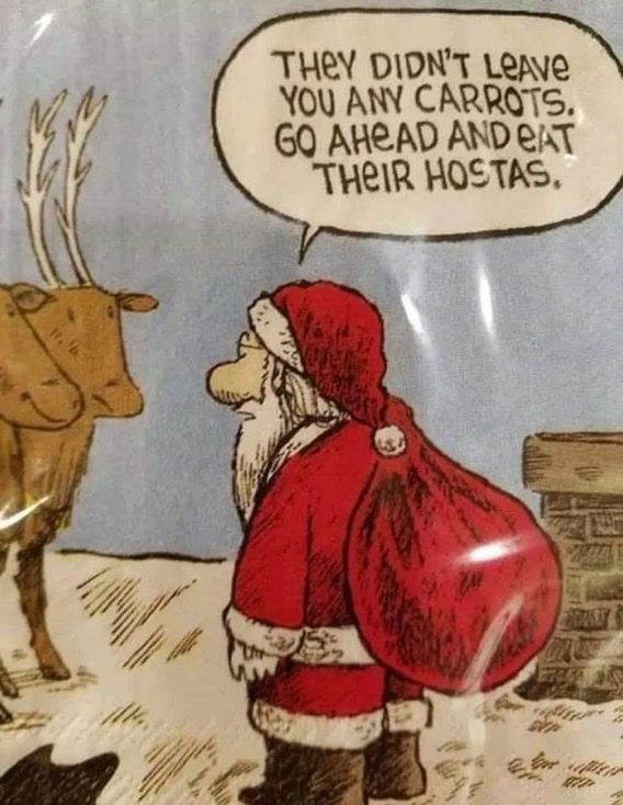 allentucklandsc's tweet image. #LandscapingHumor #GardenLife #WinterTips