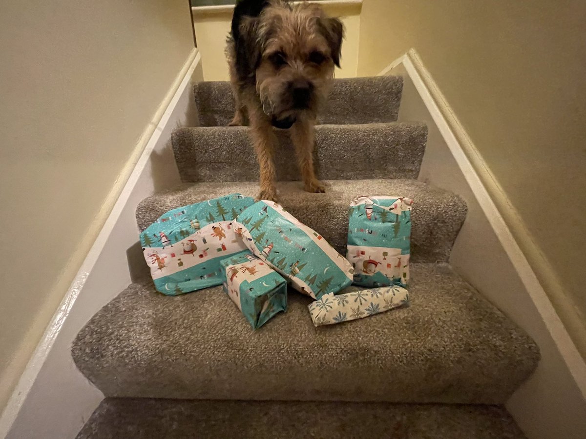 HomesChristineH's tweet photo. Amazing to be taking part in our first ever   #BTPosse Secret Santa #BTPWorldSanta - #Benedict is very much looking forward to opening these 🎁 on Christmas Day. Thank you to whoever the generous sender is for including the human treats too! 🐾🎄🎅🏼 @revdlouisjj https://t.co/Xpkx63XC8V