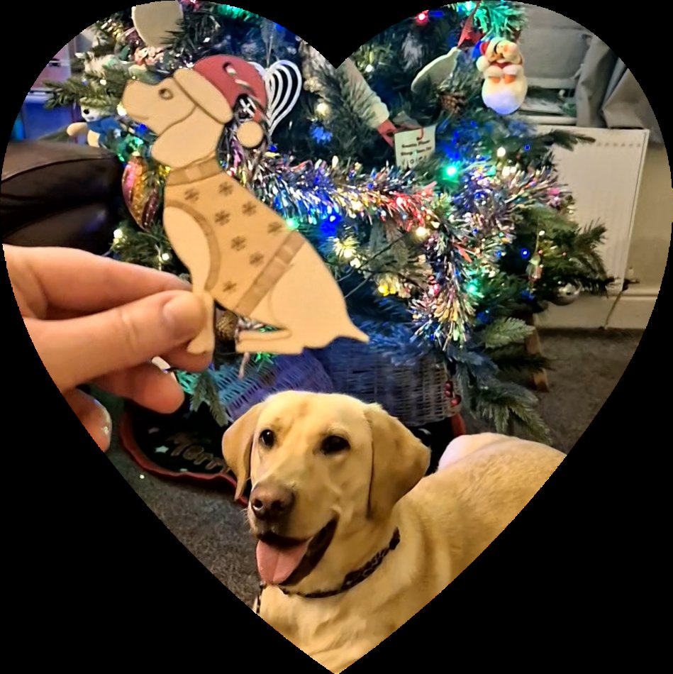 Suzanne Taylor tweet media