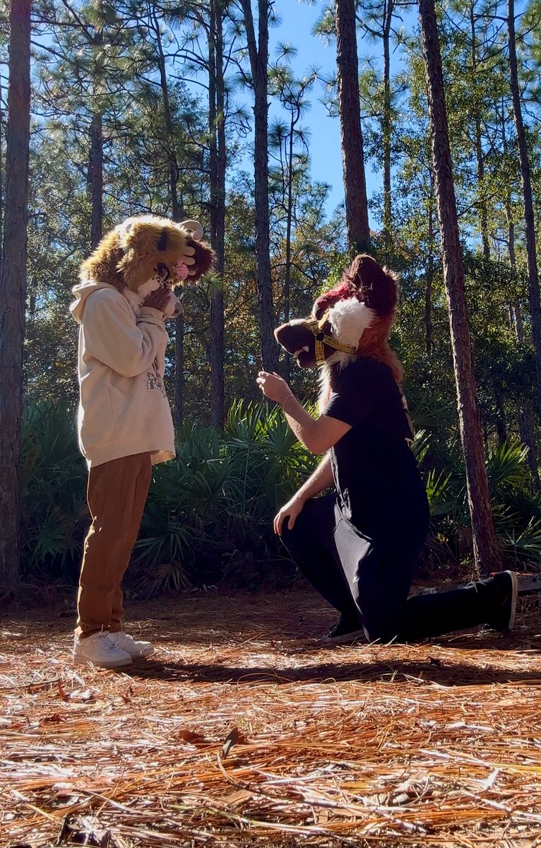 Scribbled_Mutt's tweet image. I said yes🥹✨🎀💖