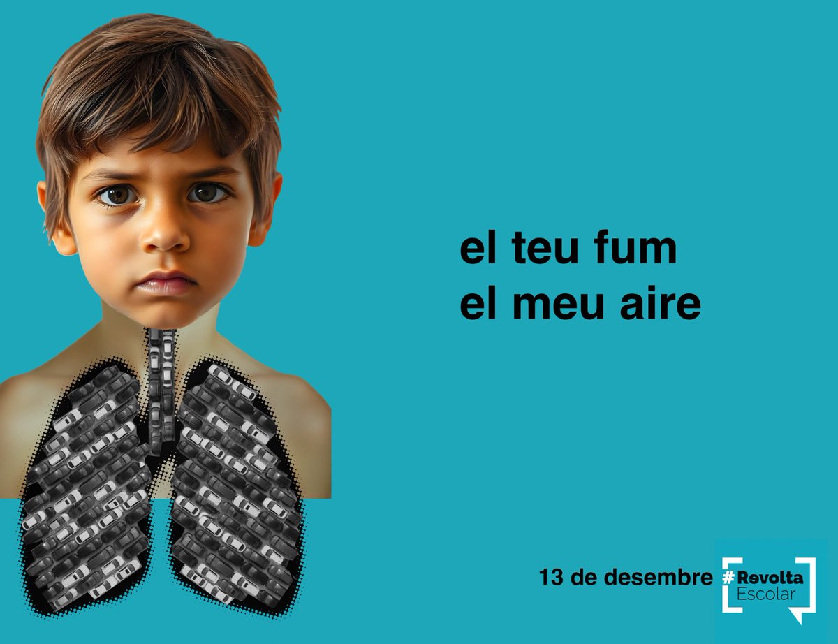 Revolta Escolar Cat tweet media