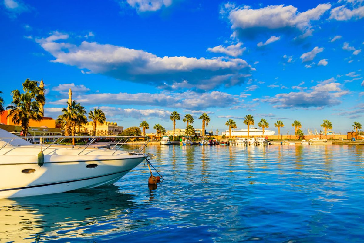 Egypt is a land of contrasts: ancient and modern, desert and lush riverside. 🌍🌾
#Golden_Egypt 
#SEP
#EPSF