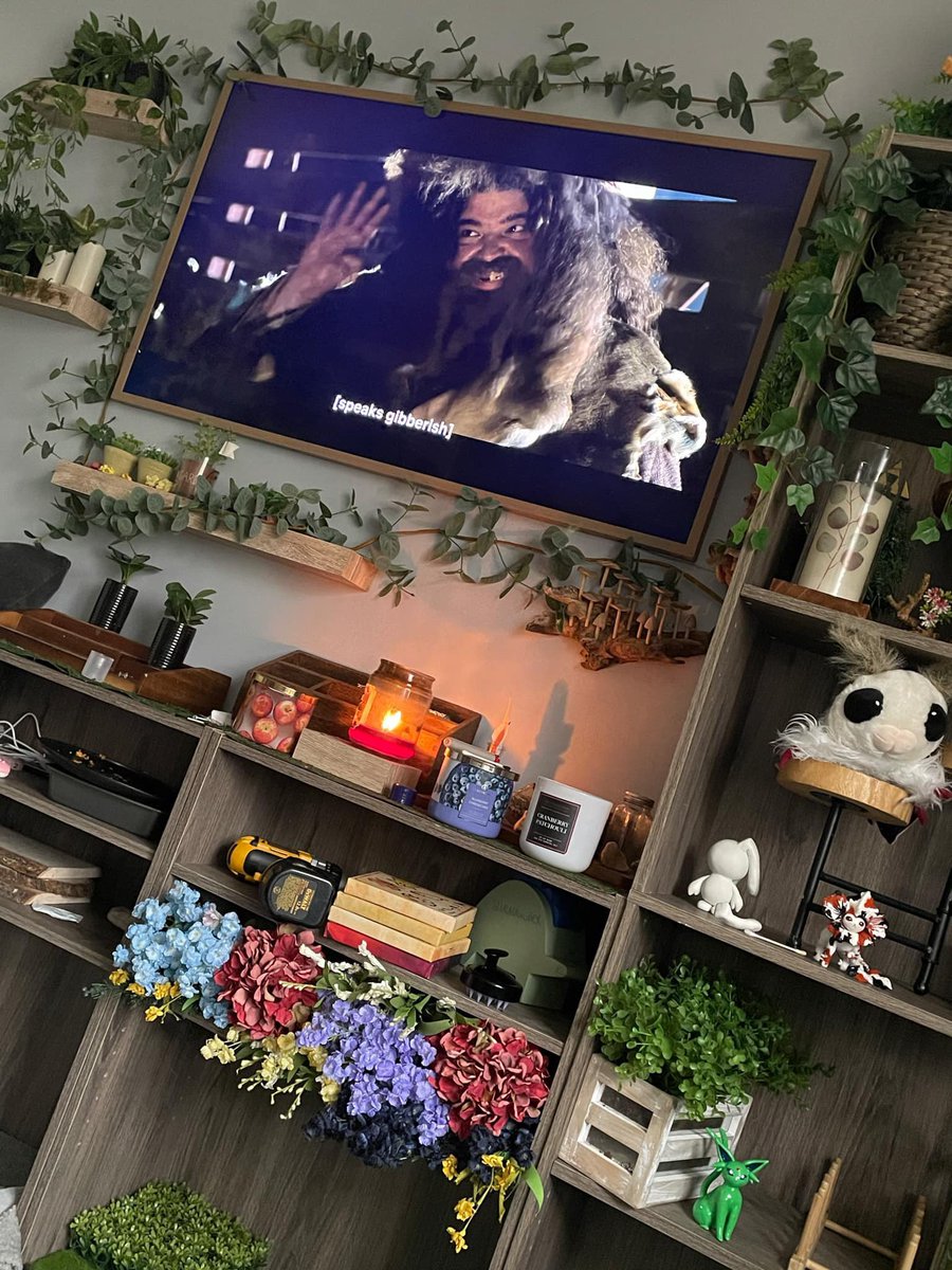 Connor Mitchener tweet media