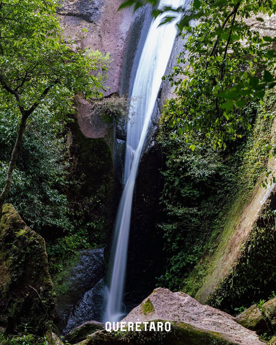 Qrotravel_usa's tweet photo. 💦✨ A beautiful Querétaro reward for hiking!

Explore the southern forests of #Querétaro with authorized guides, and find the La Piedad Waterfall, a beautiful waterfall in #AmealcodeBonfil!

--
#QroTravel 
📷: adrialvzh vía IG https://t.co/zz5PudaNZS