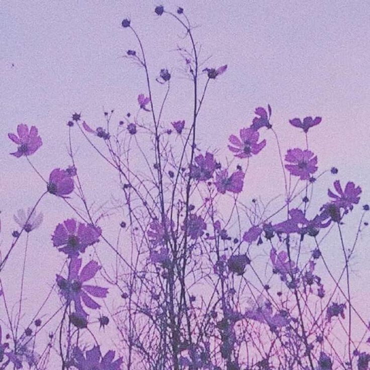 SunxRuz's tweet photo. ☆ Tenth five stars

⌇ Reflejo de las tinieblas ⌇
⋆ 03/04/2023
⋆ Pity: 68
⋆ Banner: Arms /Ayaka
(La saqué para Bennett) https://t.co/UPORbNVnuy