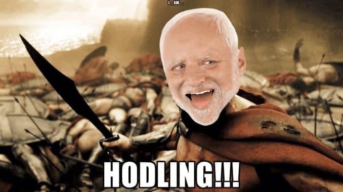 Haroldcoin-io (@haroldcoinio) on Twitter photo 