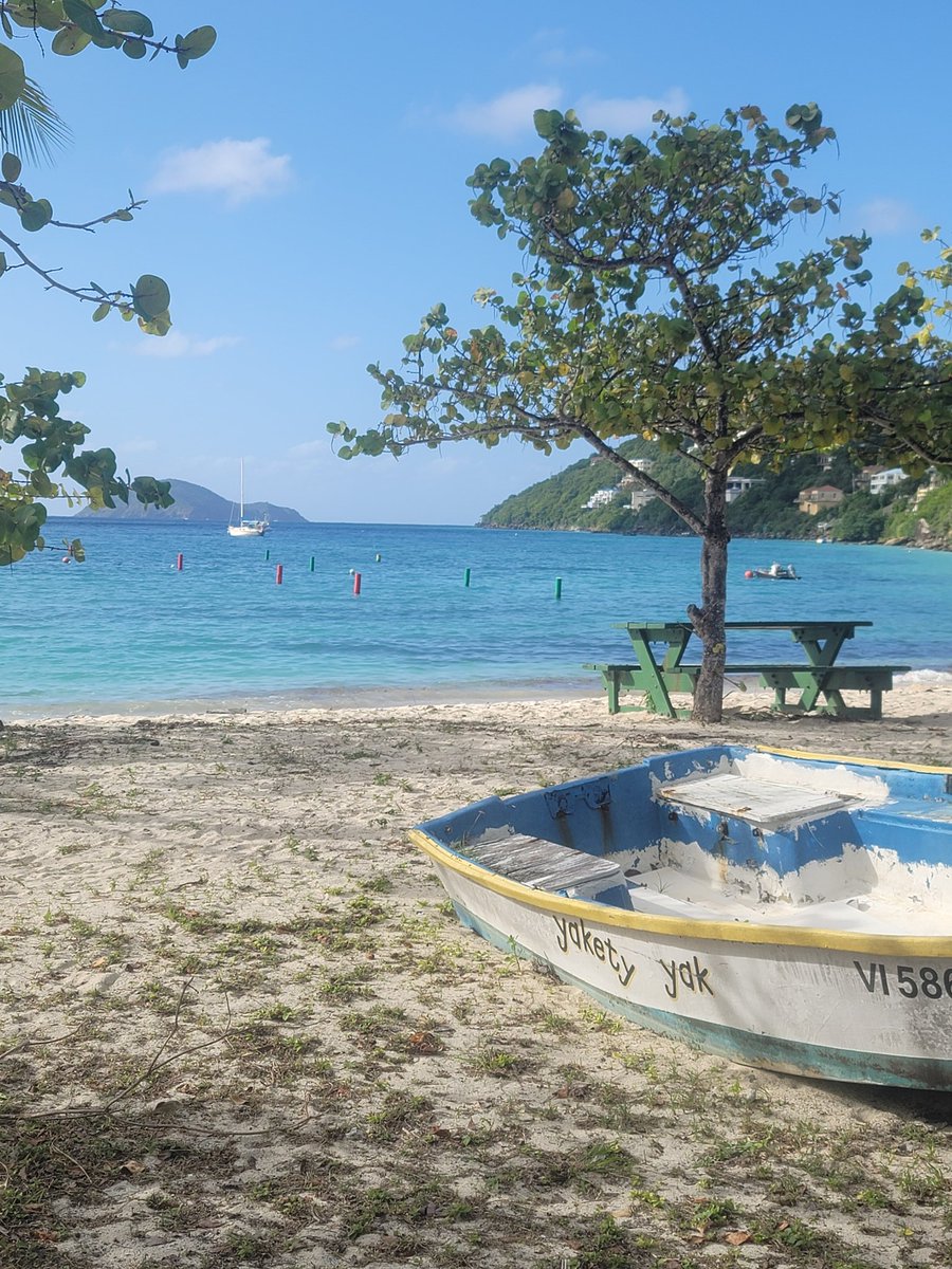 Bruce Hill tweet media