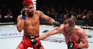 Your Fight Friends tweet media