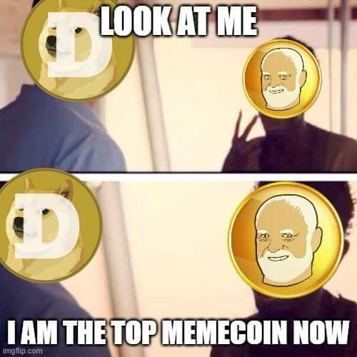 Haroldcoin-io (@haroldcoinio) on Twitter photo 