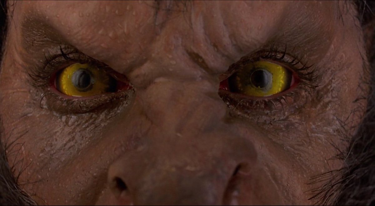 Evil Gremlin tweet media