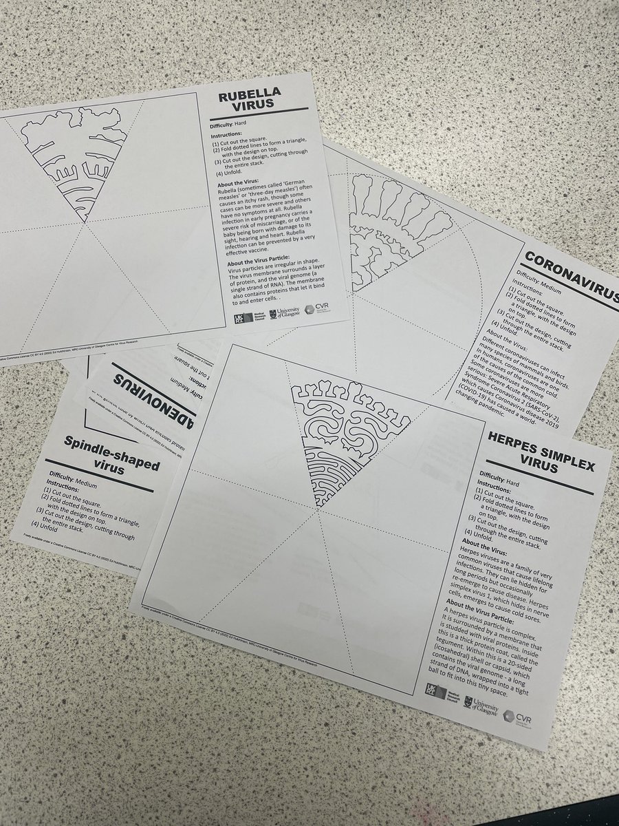 Ms Hourican tweet media