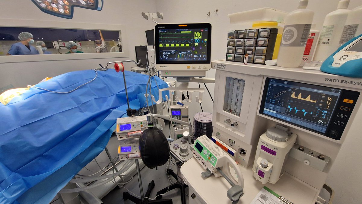 Cirugia de tumor intracraneal. Que bonita es la anestesia!