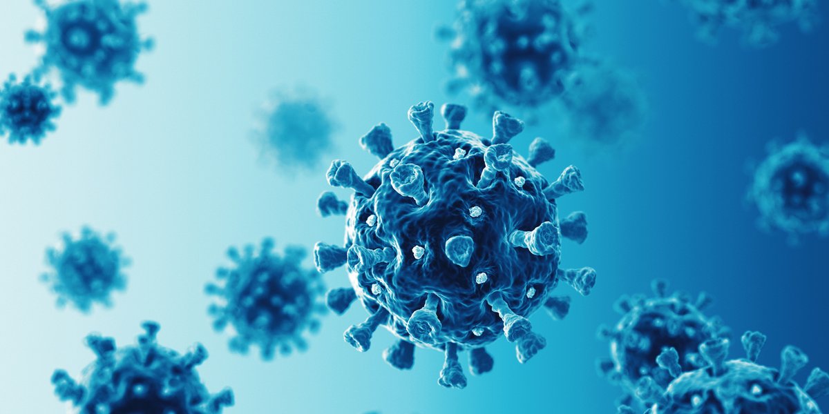 The Ontario COVID-19 Genomics Network performs whole genome sequencing (WGS) on samples received for SARS-CoV-2 diagnostic testing. This report summarizes results of SARS-CoV-2 completed as of December 4, 2024: vist.ly/3mpqghc