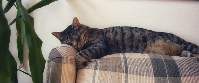 powderbum tweet media