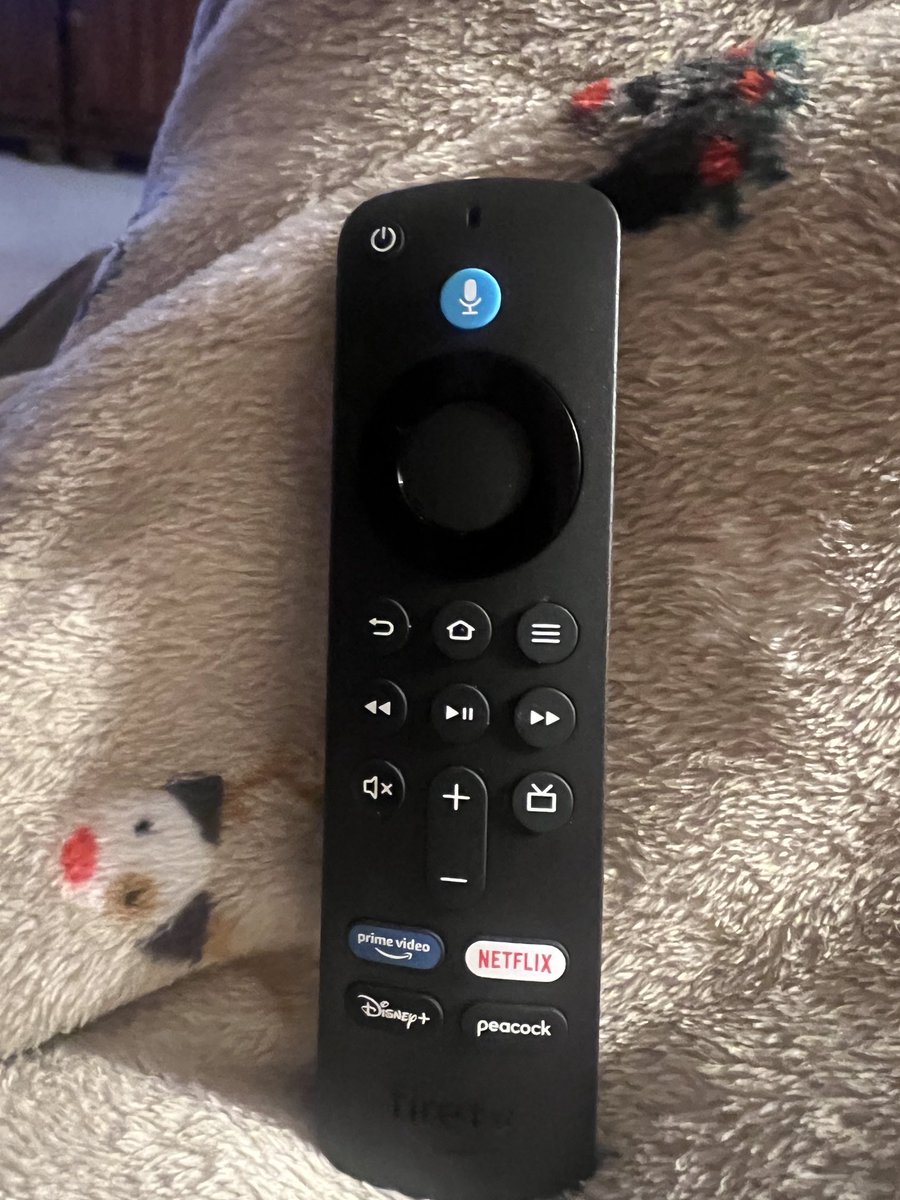 milkdud66's tweet photo. Who's designing new remotes?
Now what?
#bringbackbuttons https://t.co/Uaq9IRZqnO