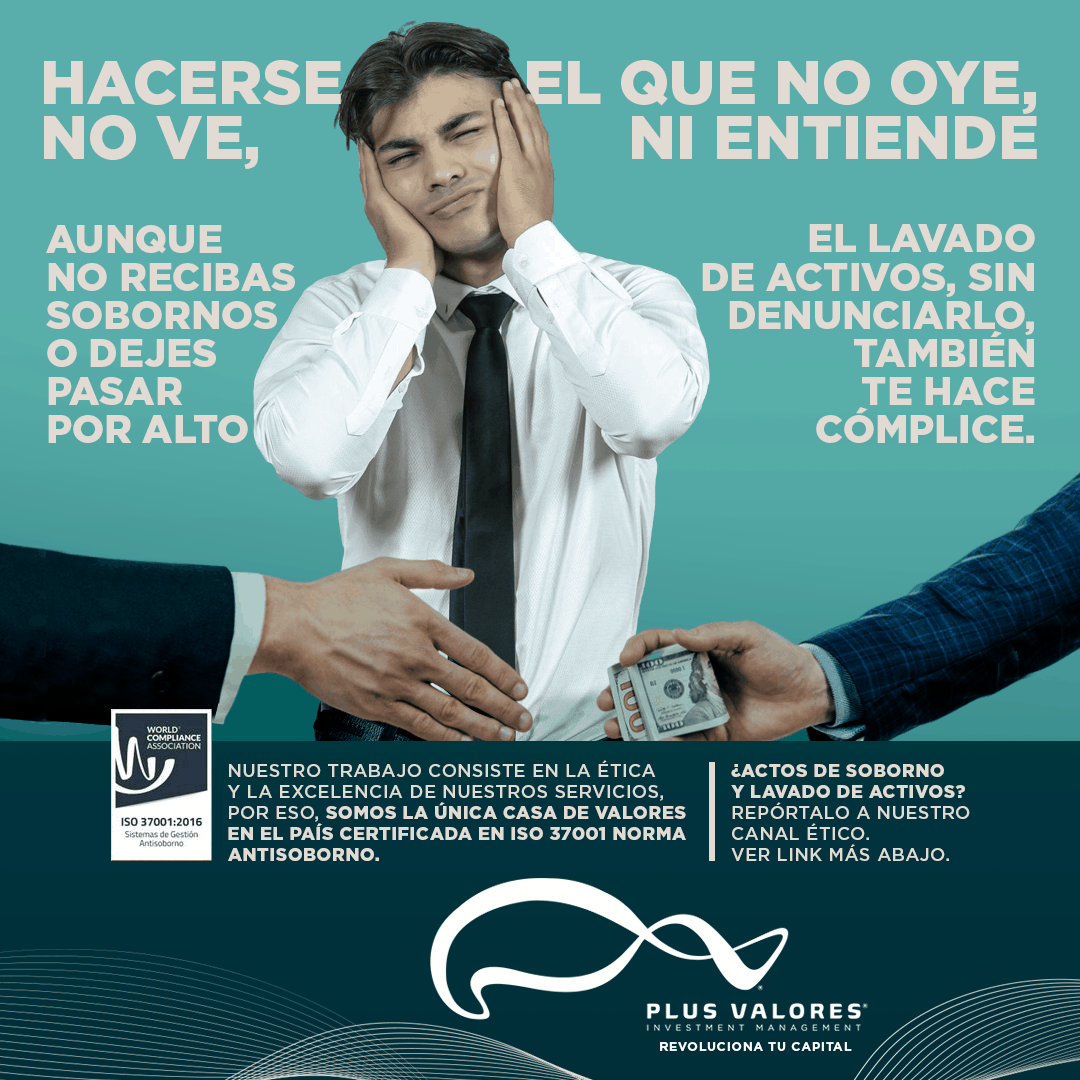 Plus Valores - Investment Management tweet media