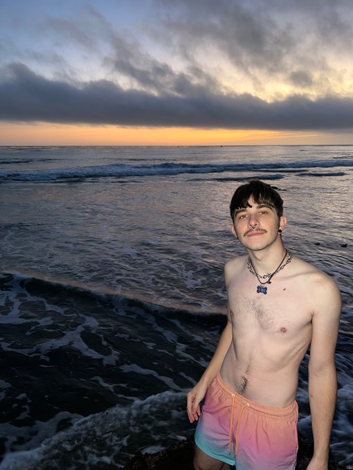 harris_sinn