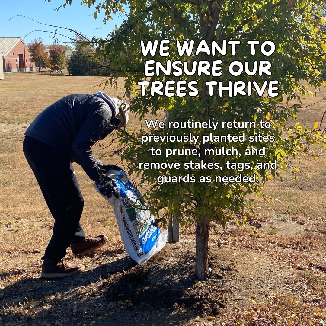 treescharlotte tweet media