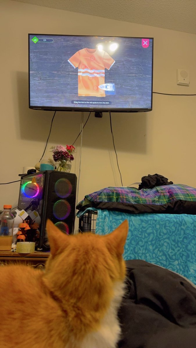 annavwaugh1209's tweet photo. not my cat being calm asf watching @Poofesure 

it’s like putting on cartoons for a kid https://t.co/vrPKFvrwjZ