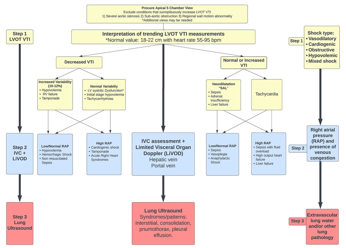 Critical care echocardiography-driven algorithm to manage undifferentiated shock 

Note: LVOT VTI plays a central role