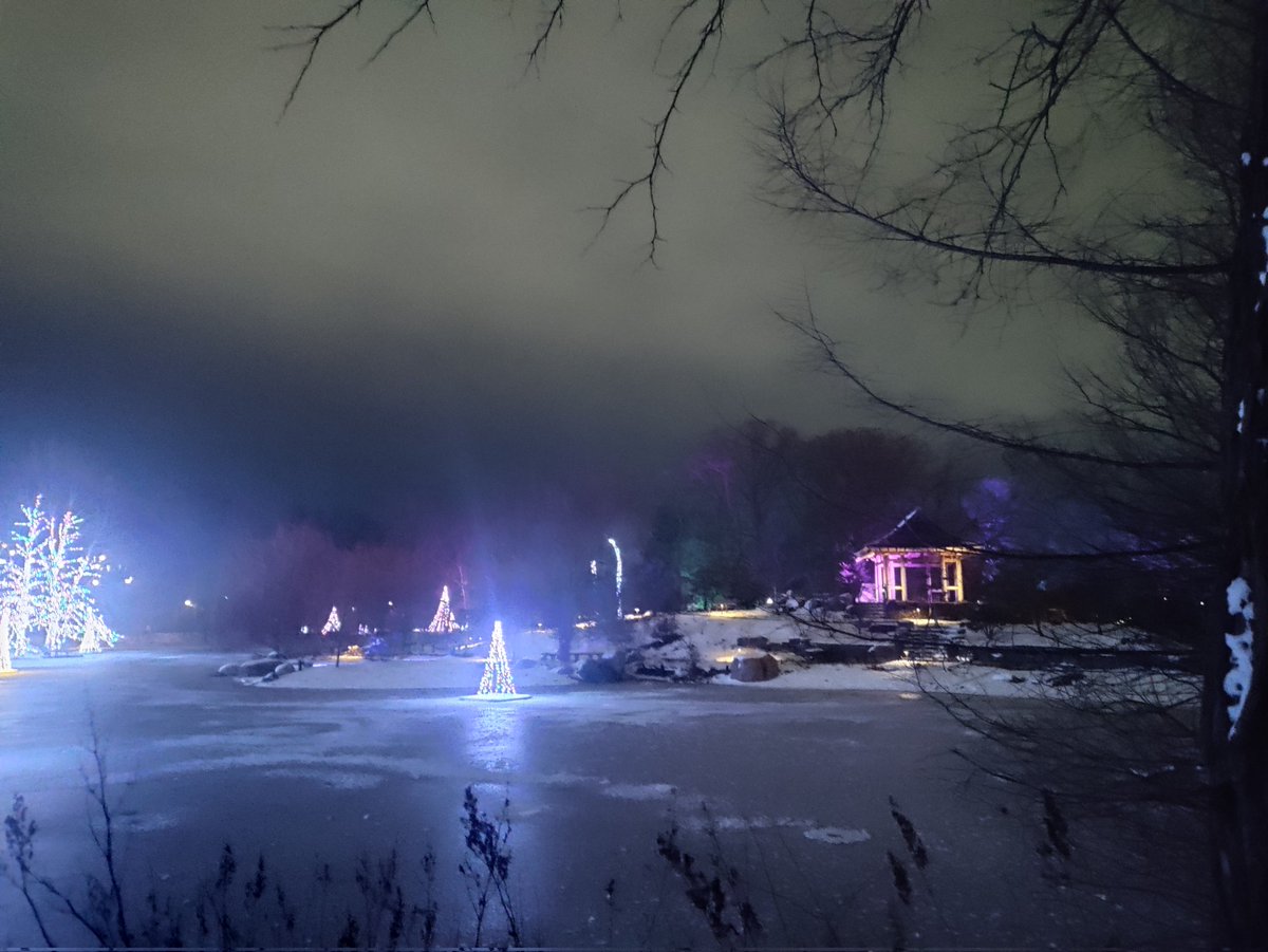 deviantwrd's tweet photo. Pretty lights 🎄 https://t.co/UosR9X4439