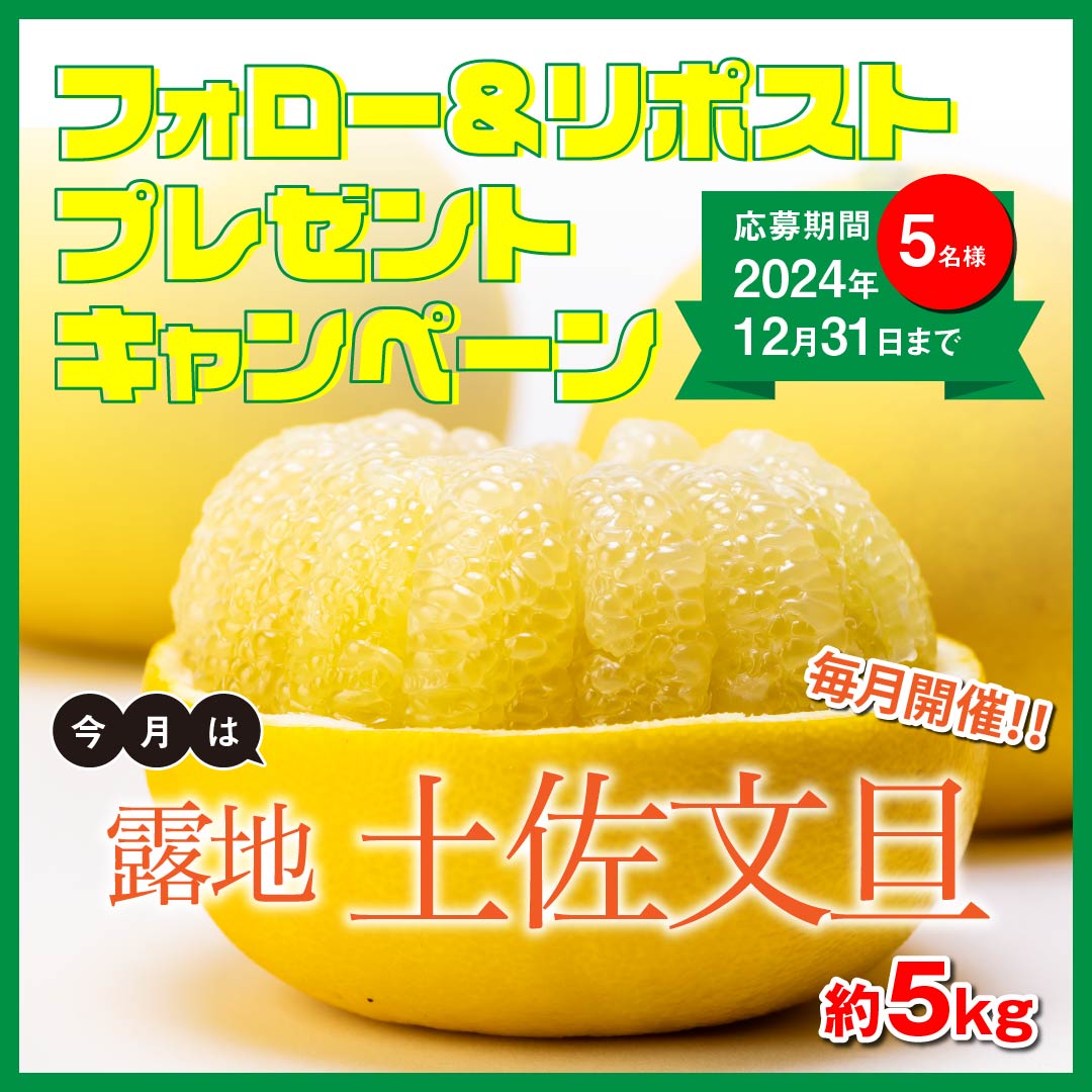 tosagoro's tweet photo. ＼🎁土佐の食べごろプレゼント🎁／ 
高知の特産果実♪「露地土佐文旦」#プレゼント

▼応募方法 
①とさごろ(@tosagoro)をフォロー 
②この投稿をリポスト  
応募締切:2024年12月31日まで⭐️
結果はDMでお知らせいたします   
#高知 #文旦 #懸賞 #食べごろはとさごろで https://t.co/UJjN5q2bNZ